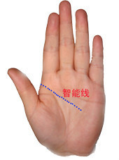 男左女右,教你手相看命,很准! 男左女右,教你手相看命,很准!