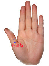 男左女右,教你手相看命,很准! 男左女右,教你手相看命,很准!