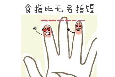 食指与无名指的长度看你的性格与命运