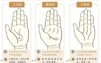 超全！掌纹手相让你一次看个够