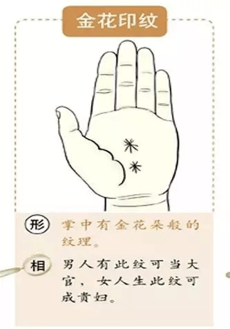 超全！掌纹手相让你一次看个够