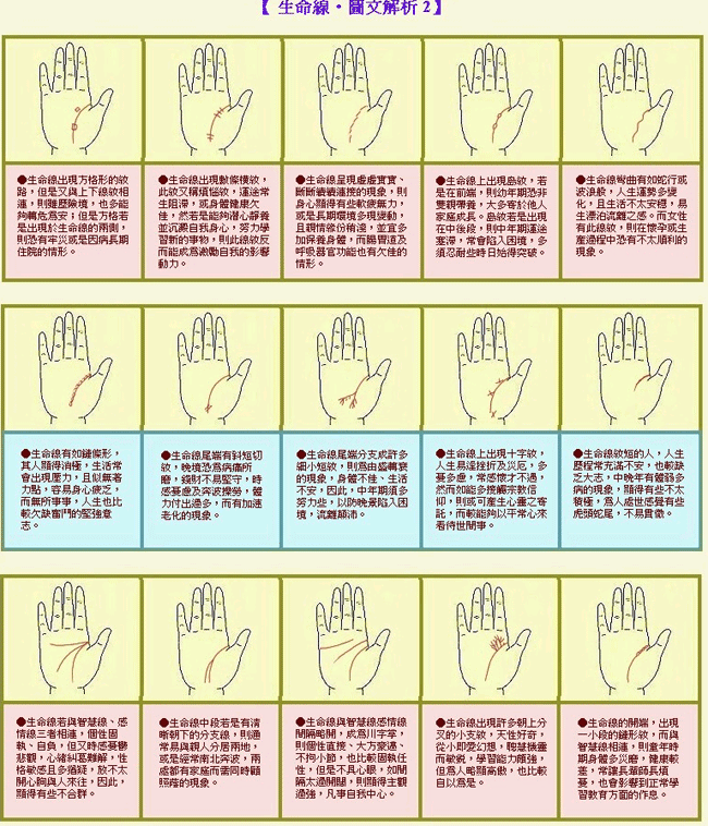 成涛掌相生命线图解 成涛掌相生命线图解