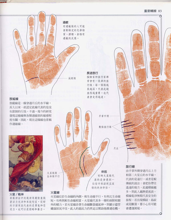 《手相学习百科》：手相重要辅线