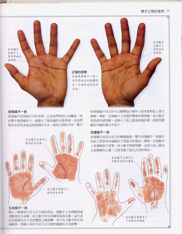 《手相学习百科》：双手之间的差异