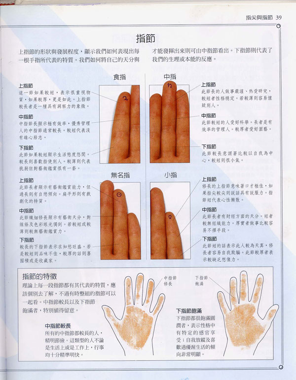 《手相学习百科》：指尖与指节