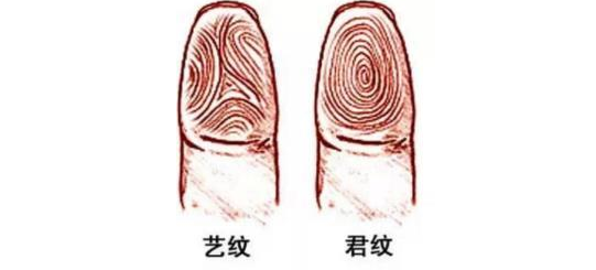 指纹算命三十一：簸箕、簸箕、簸箕、簸箕、斗