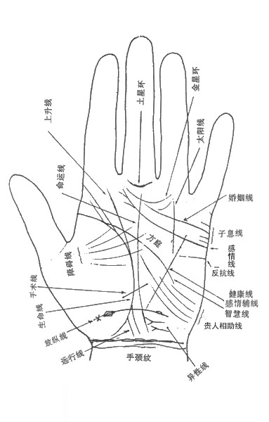 手相占卜80后人群何时能结婚 