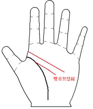 手相图解,手相图解智慧线,智慧线