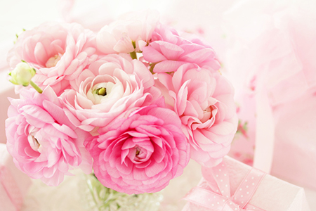 女性风水,已婚风水,风水知识