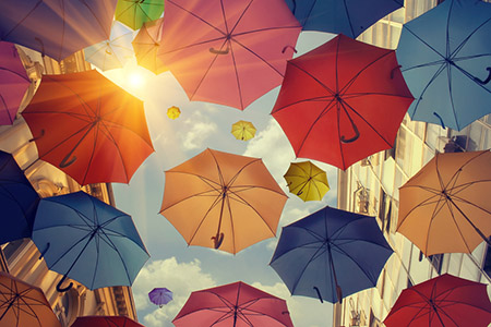 植物风水,旺财,招财