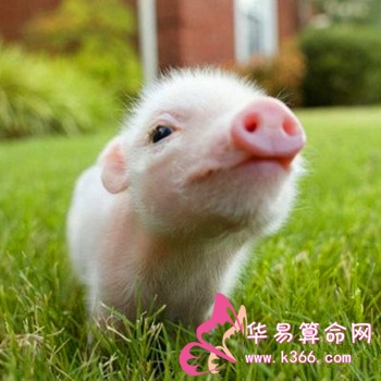 20140707110005_349207.jpg