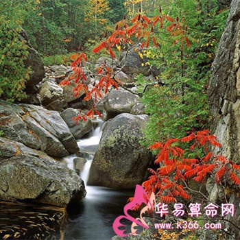 200831795345135_2.jpg