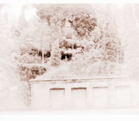  墓地风水断后人图解