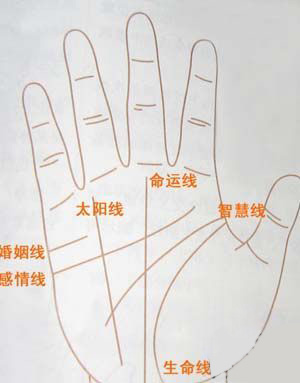 掌纹,掌纹图解,手相