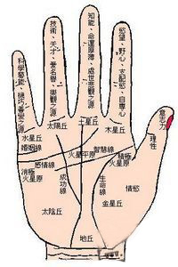 手相,婚姻