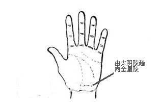 手相,手相纵欲线