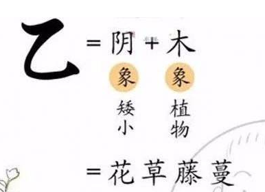 十天干的精华 十天干的精华