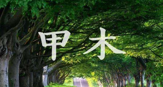 十天干的精华 十天干的精华