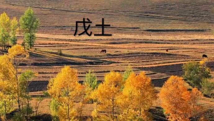 十天干的精华 十天干的精华