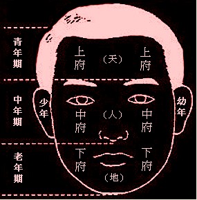 成涛面相三才六府十三部位