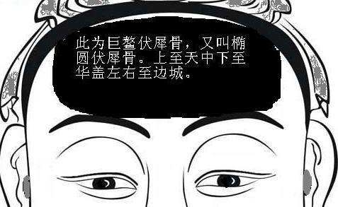 拥有武库伏羲骨的人面相好不好？