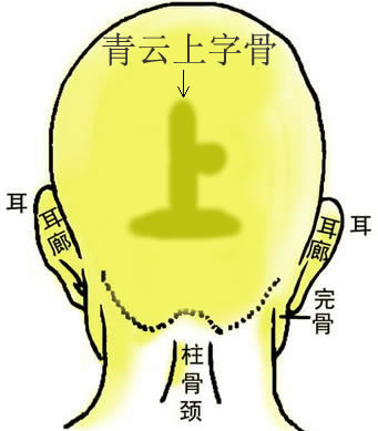 骨相大全：青云上字骨