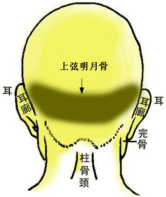 骨相大全：两弦明月骨