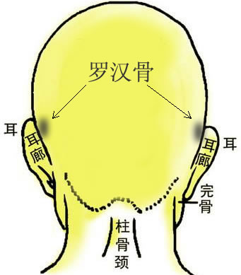 骨相大全：罗汉骨