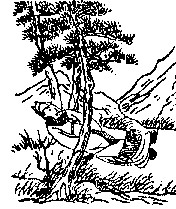 第十一象