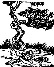 第九象