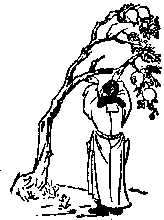 第五十五象