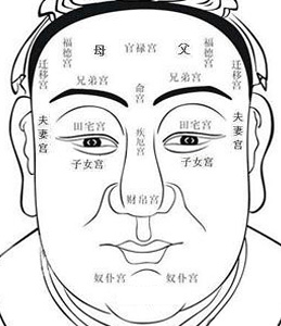 面相,相术,识人术
