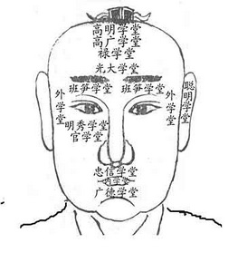 头生异骨,面相