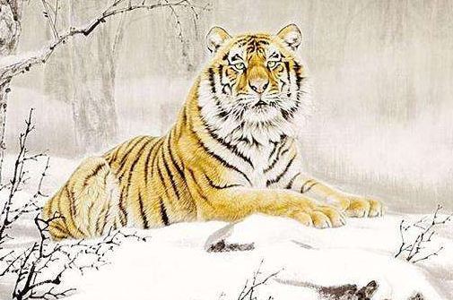 2018年属虎的人在各个方面运程如何? 2018年属虎的人在各个方面运程如何?