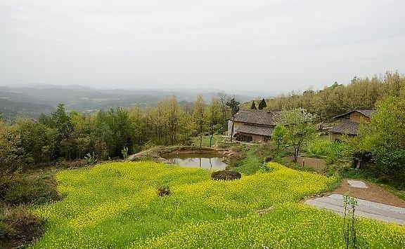 这几种风水你敢碰吗 