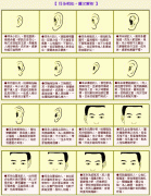 成涛面相耳朵相法