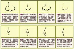 苏民峰面相：鼻子面相图解