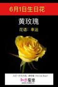 6月1日生日花：黄玫瑰