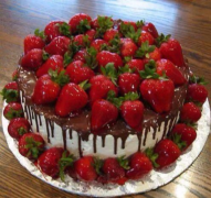 2月27日生日巧克力：香草蛋糕（Spicy Chocolate Cake）
