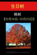 10月14日-10月23日(枫树)