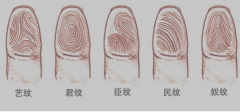 指纹算命二十四：簸箕、斗、簸箕、簸箕、簸箕