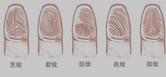 指纹算命十一：斗、簸箕、斗、簸箕、斗