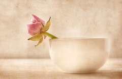 怎样为宝宝起小名