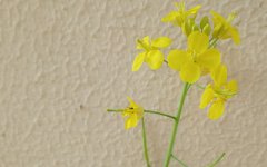 什么样的名字最旺你