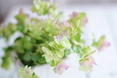 如何通过起名改名造就美满婚姻