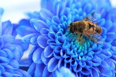 职场中如何对付阴险小人