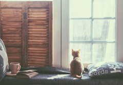 公司摆放沙发会影响财运吗