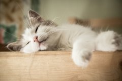婚礼、拆迁、搬家如何择日？