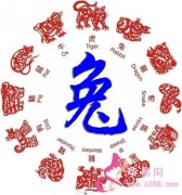 兔的文化趣谈