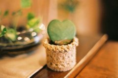 2017姓公西的男孩名字大全 属鸡公西姓男宝